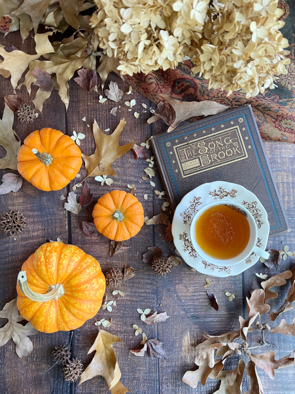 The Song of the brook flatlay with pumpkins and a cup of tea.