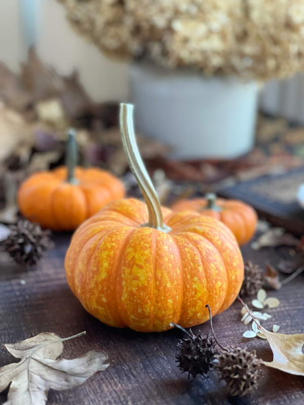 Three orange pumpkins, fall leaves and dried hydrangeas.