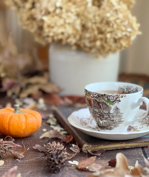 brown and white transfer ware tea cup, orange pumpkin and pot of dried hydrangeas.