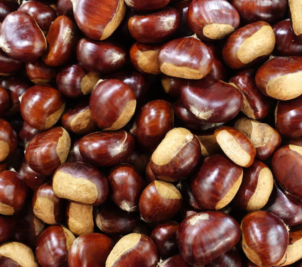 chestnuts.