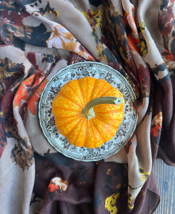 orange pumpkin on a brown and white Spode plate sitting on a scarf.