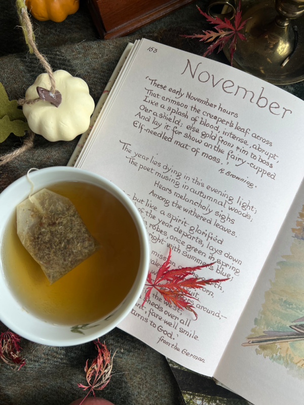 November flatlay white pumpkin book opened to November and a cup of tea.