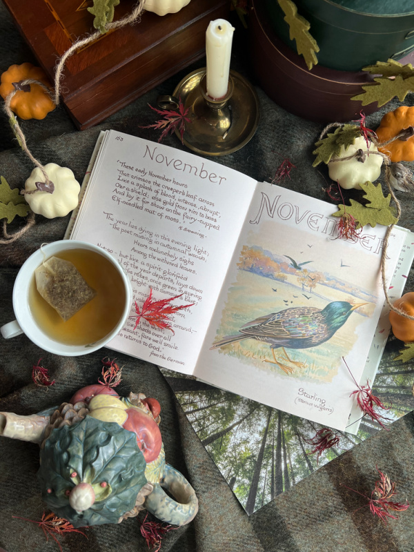 November flatlay with book and cup of tea.