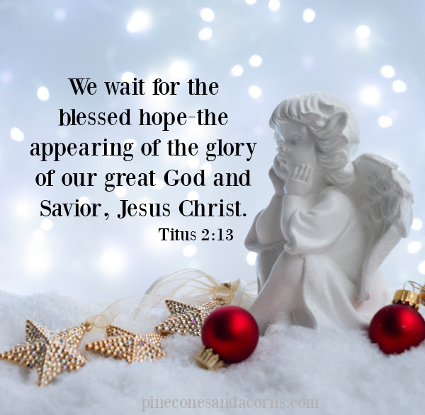 We wait for the blessed hope-the appearing of the glory of our great God and Savior, Jesus Christ.