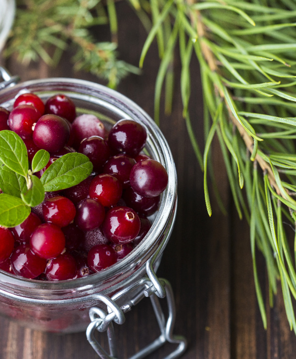 fresh cranberries in a jar with a spring of pine laying next to it. 