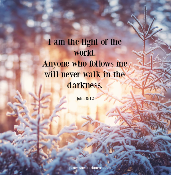 John 8_12 I am the light of the world. Anyone who follows me will never walk in the darkness.