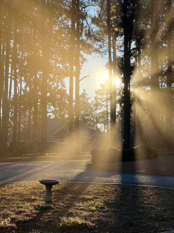 Winter Morning view with the sunrise and a bird bath.