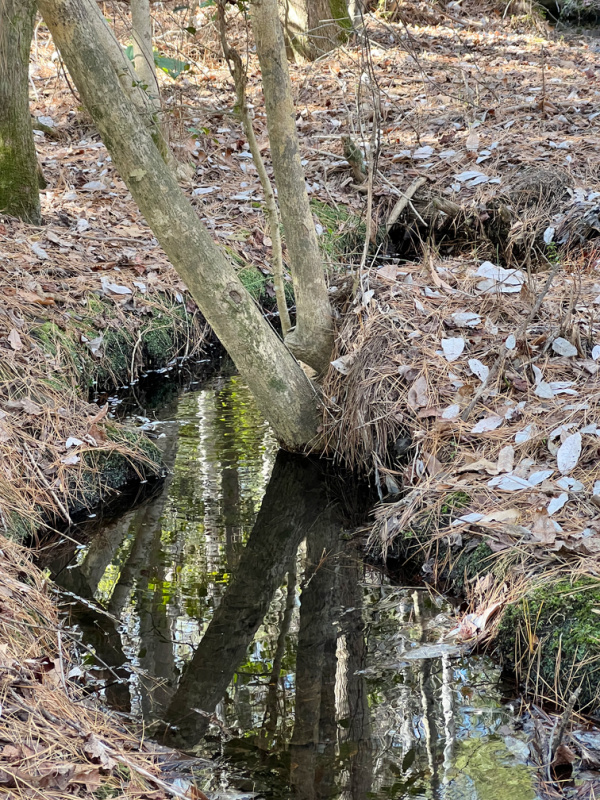 small stream.
